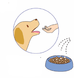 Аруку - витамины для суставов собак и кошек