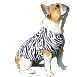 MPS Zebraprint - Функциональная попона для собак (расцветка зебра)