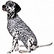MPS Zebraprint - Функциональная попона для собак (расцветка зебра)