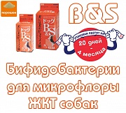 B S - бифидобактерии для собак