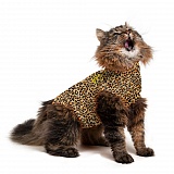 MPS Leopard Print - Функциональная попона для кошек XXXS 29-37 см