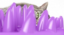Миска Catch NORTHMATE(R) - диетолог для кошек 