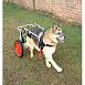 Kruuse Rehab инвалидная коляска для собак малых пород весом 7-20 кг размер S