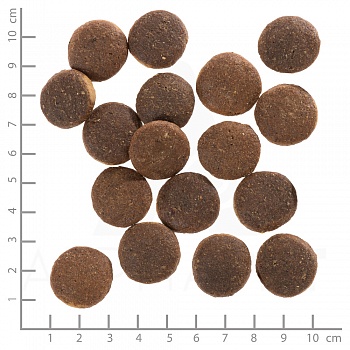 Wolfsblut Red Rock Adult (Красная скала) - Сухой корм для взрослых собак с мясом австралийского кенгуру, бататом и тыквой.  Белок:23 %, Жир: 9,5 %.