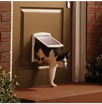 Дверца для кошек и собак Staywell Original 2 Way малая (режимы вход/выход/закрыто). Размер шторки 17,8х15,2см. Материал термопластик-белый