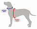 Шлейка грузовая для собак "Каскад", двойная, ширина 4,5 см, обхват груди 90-100 см