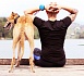 Lishinu Bungee- поводок-рулетка для сильных собак весом от 12 кг до 35 кг, 3 метра оранжевый