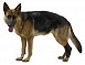 Kruuse Rehab hock protector -протектор скакательного сустава для собак