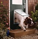 Дверца для кошек и собак Staywell Original 2 Way большая (режимы вход/выход/закрыто). Размер шторки 35,6х30,5см. Материал термопластик-белый