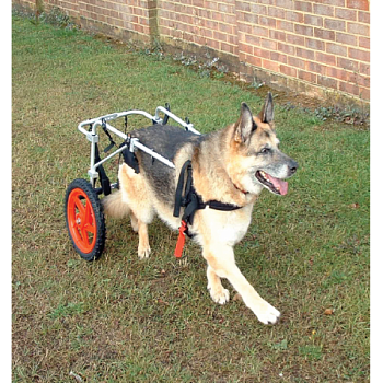 Kruuse Rehab инвалидная коляска для собак средних и крупных пород весом 45-80 кг размер L